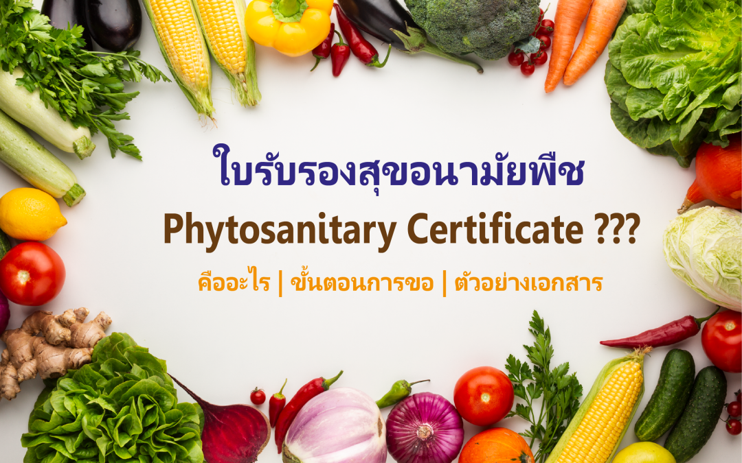 ใบรับรองสุขอนามัยพืช (Phytosanitary Certificate) คืออะไร